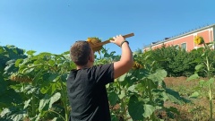 Лето — время больших открытий! 