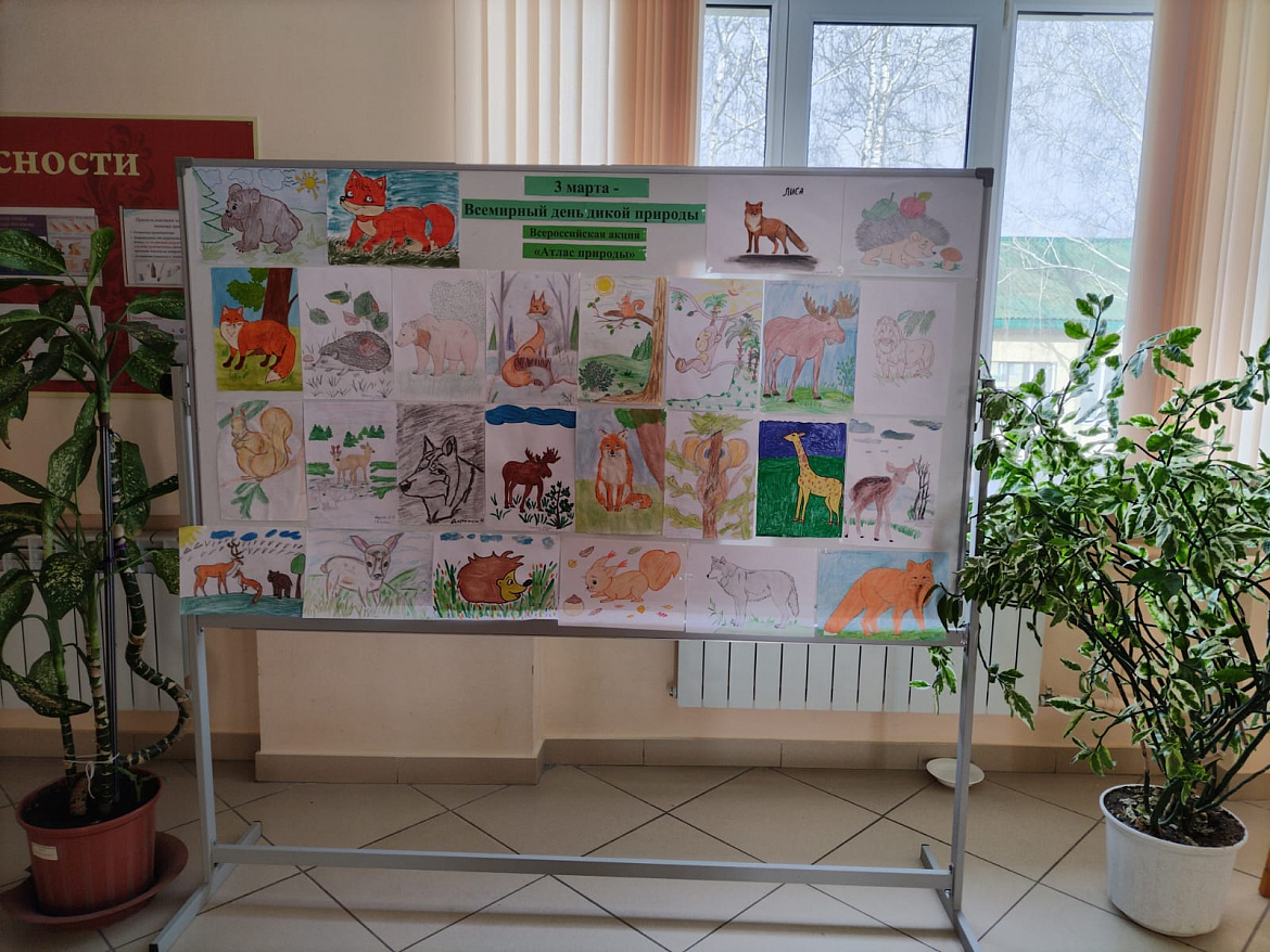 Берегите дикую природу!