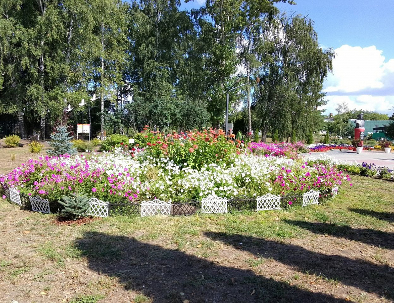  Участие в областном смотре-конкурсе на лучшее благоустройство территорий образовательных учреждений