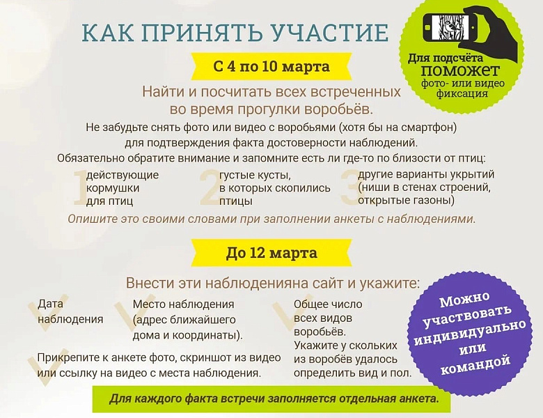 Приглашаем к участию во Всероссийской переписи воробьёв, которая будет проводиться с 4 по 10 марта 2024 года.