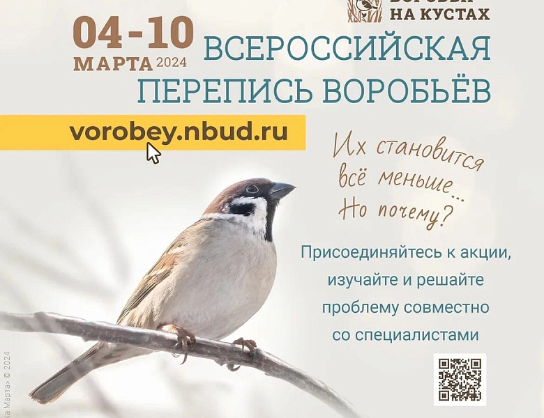 Приглашаем к участию во Всероссийской переписи воробьёв, которая будет проводиться с 4 по 10 марта 2024 года.