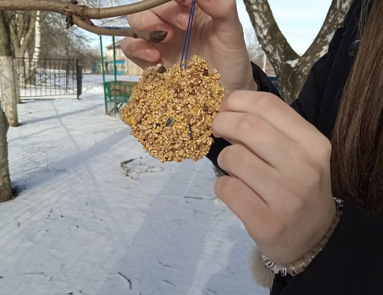 Птицы нуждаются в зимнее время в помощи...