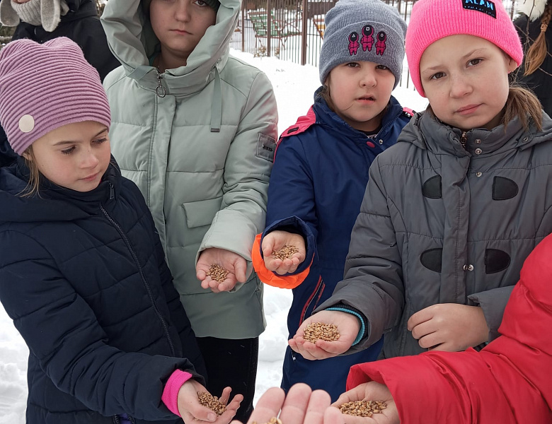 Акция «Покормите птиц зимой».