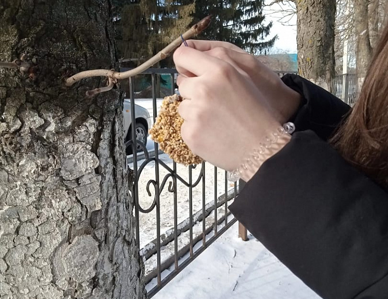 Птицы нуждаются в зимнее время в помощи...