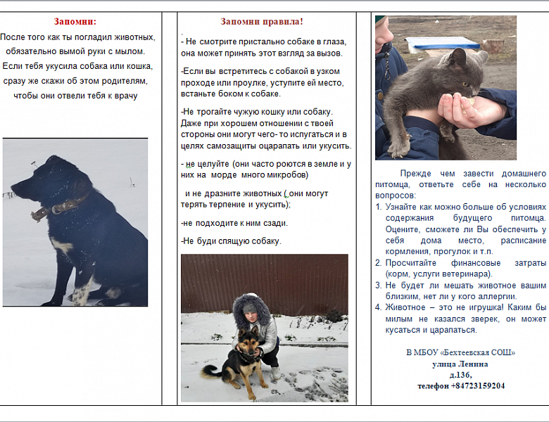 Волонтерский отряд «Твори добро» 
