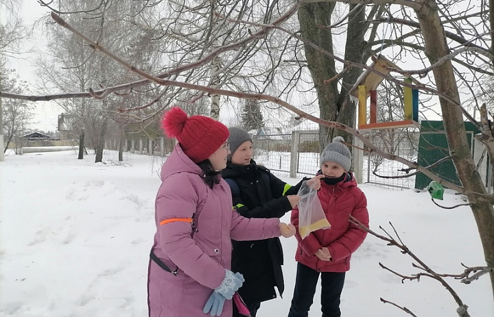 «Столовая для пернатых»