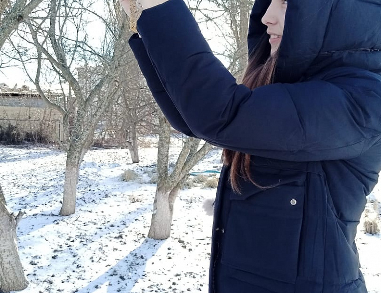 Птицы нуждаются в зимнее время в помощи...