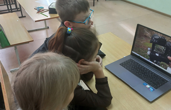 "Человек и природа", "Человек как часть живой природы".
