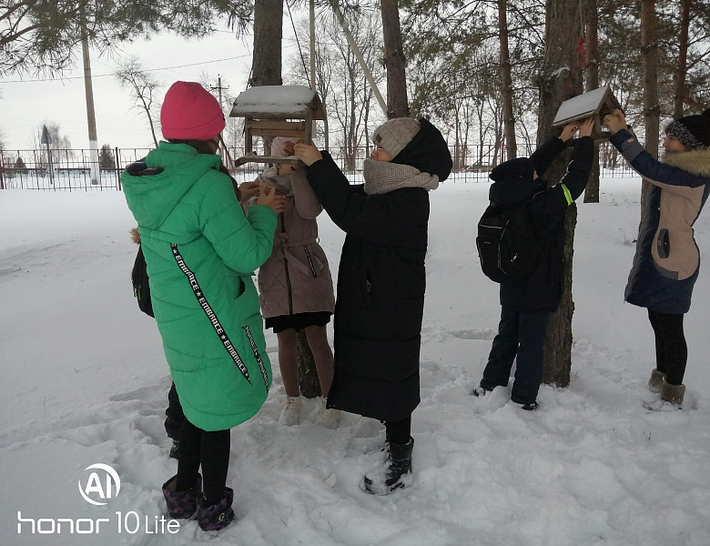  «Птицы - наши пернатые друзья»