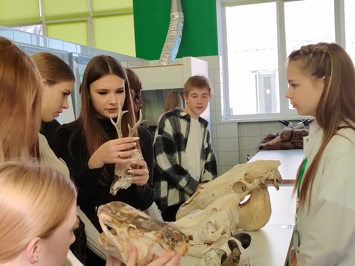 Профориентационный трек «Профессиональное погружение»