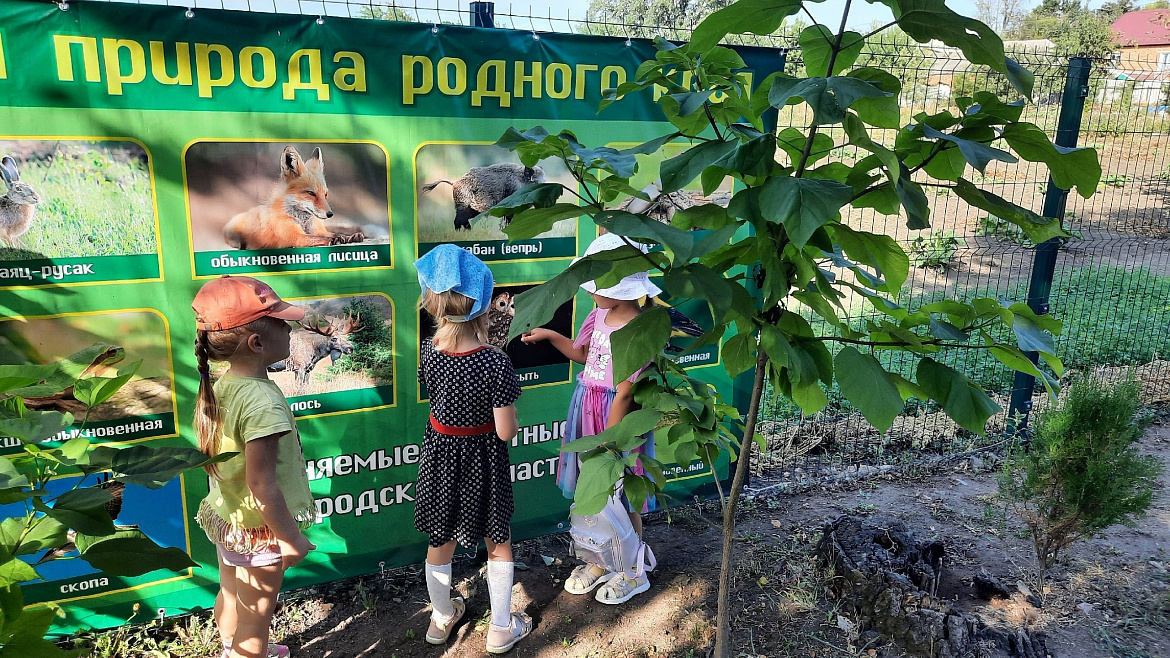  Тематический день птиц