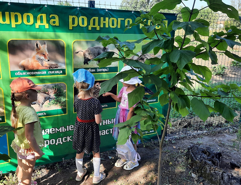  Тематический день птиц