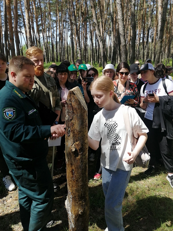 Проект «ForestNet» 