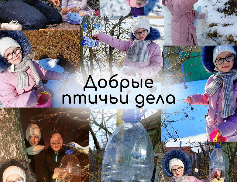 Участие в экологической акции «Птицы наши друзья»