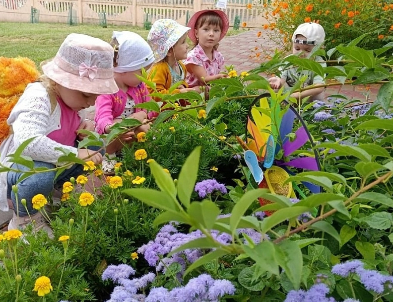Наблюдение за цветочной клумбой!