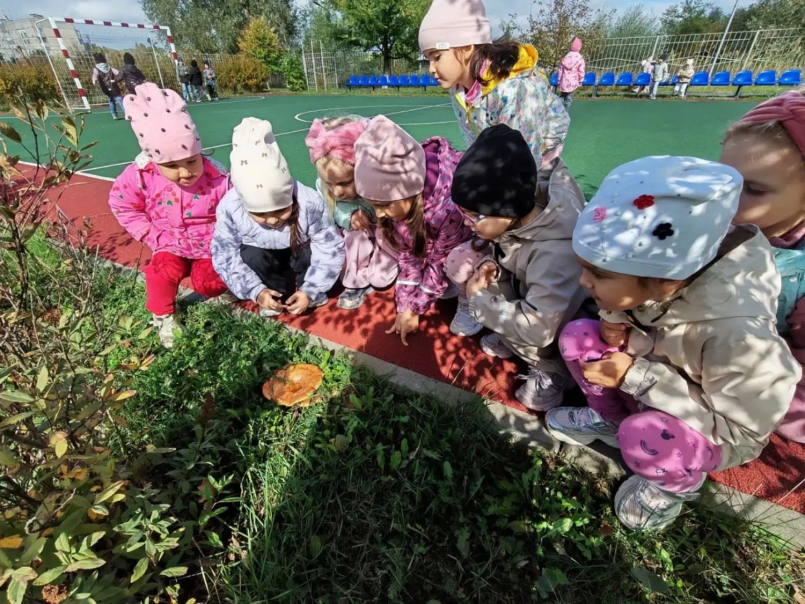 Осеннее открытие наших самых маленьких юннатов! 