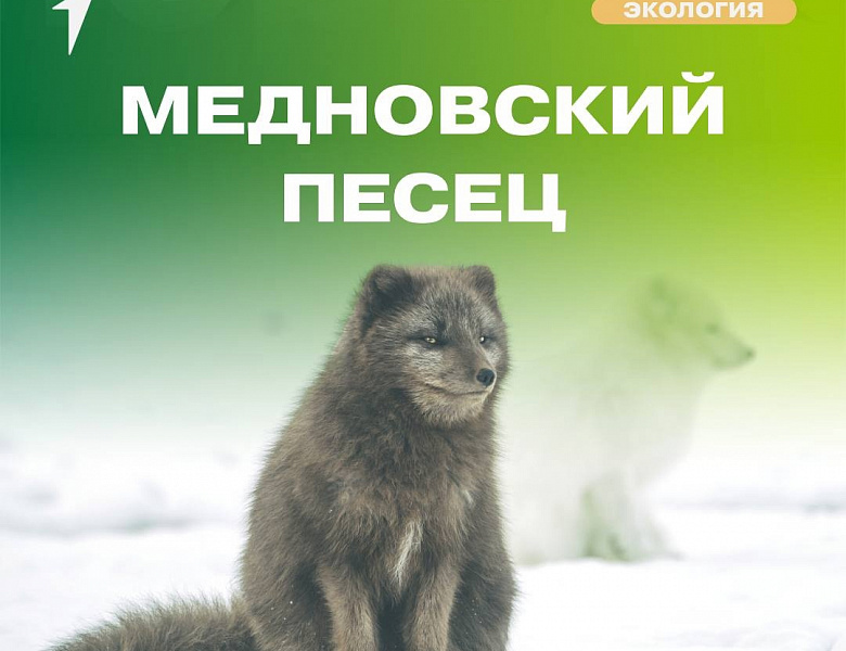 Движение Первых Экология