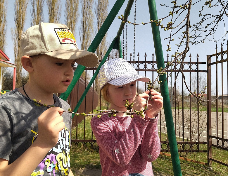  «Волшебная прогулка»