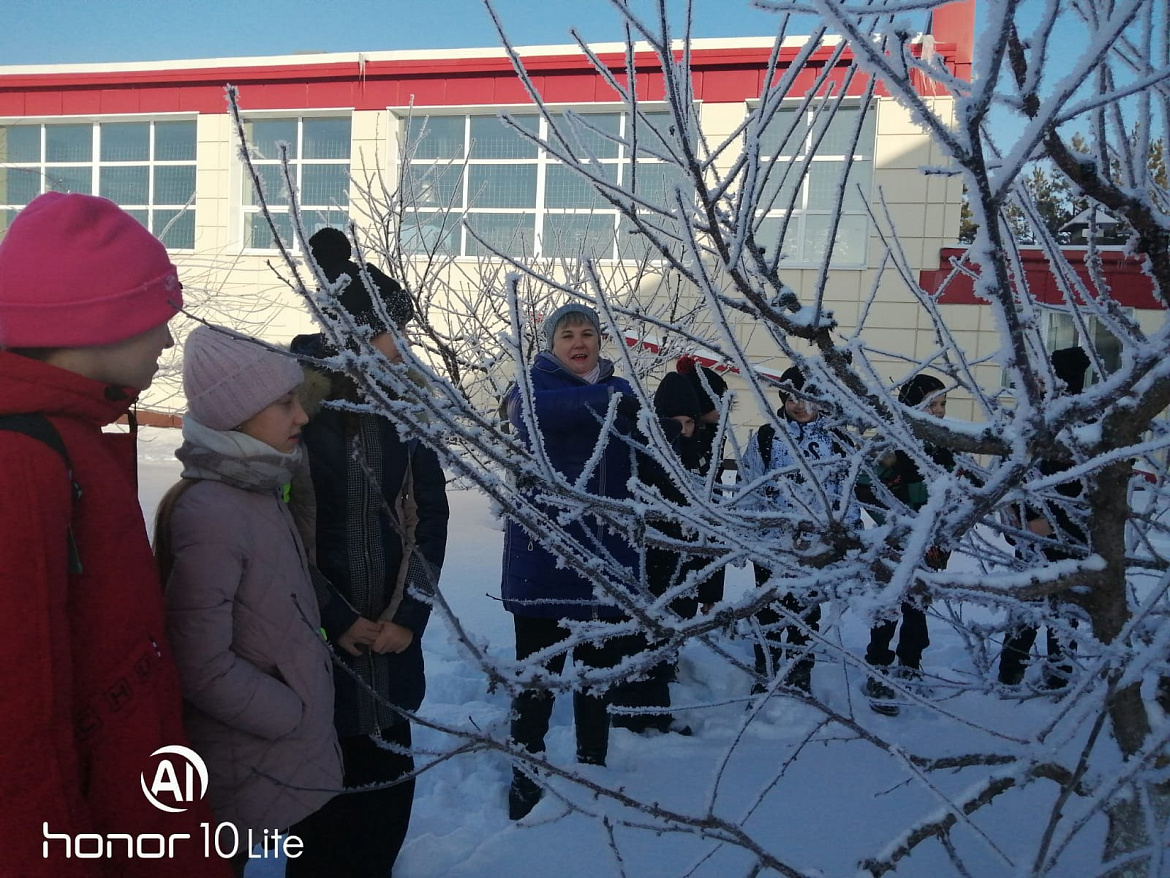  Встреча со специалистом по обрезке сада