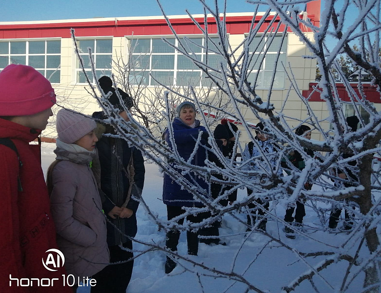  Встреча со специалистом по обрезке сада