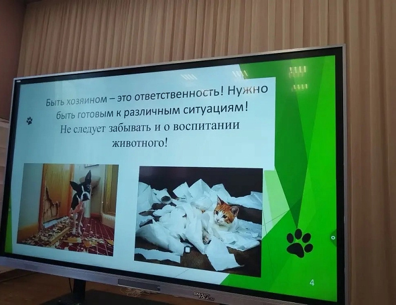 Встреча с ветеринаром: как правильно относиться к домашним животным?