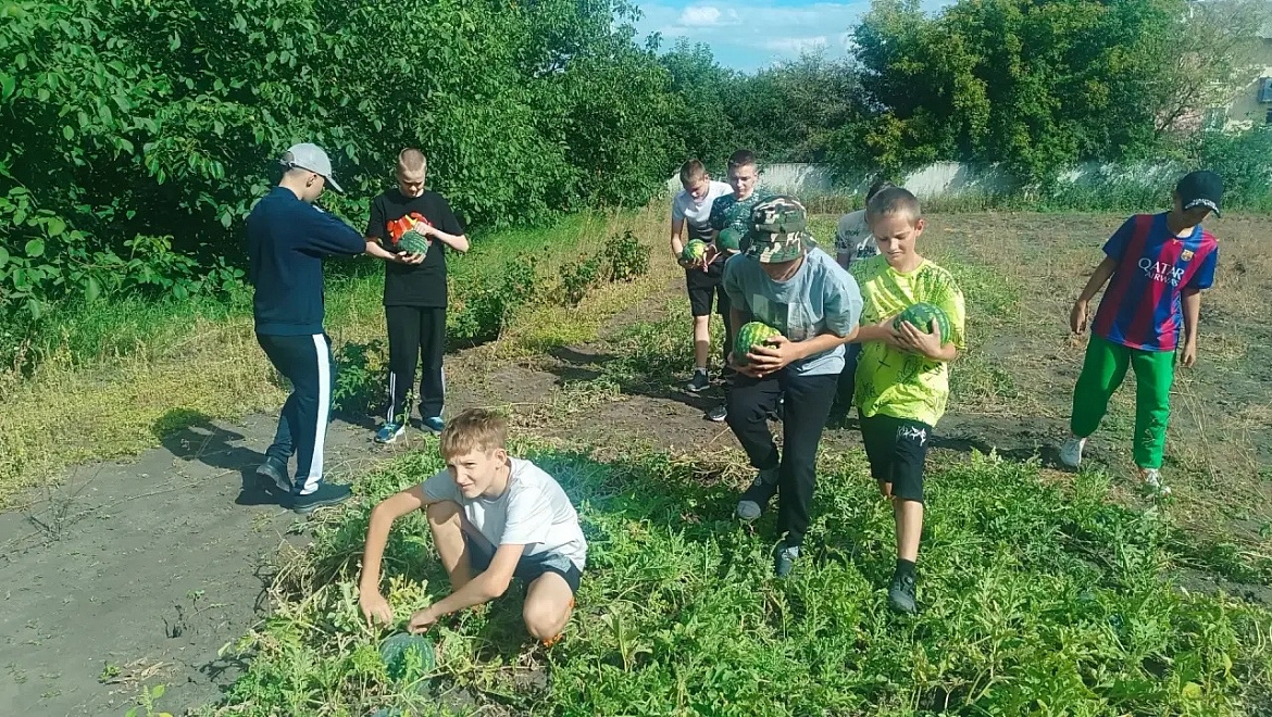  Ура, урожай собран! 