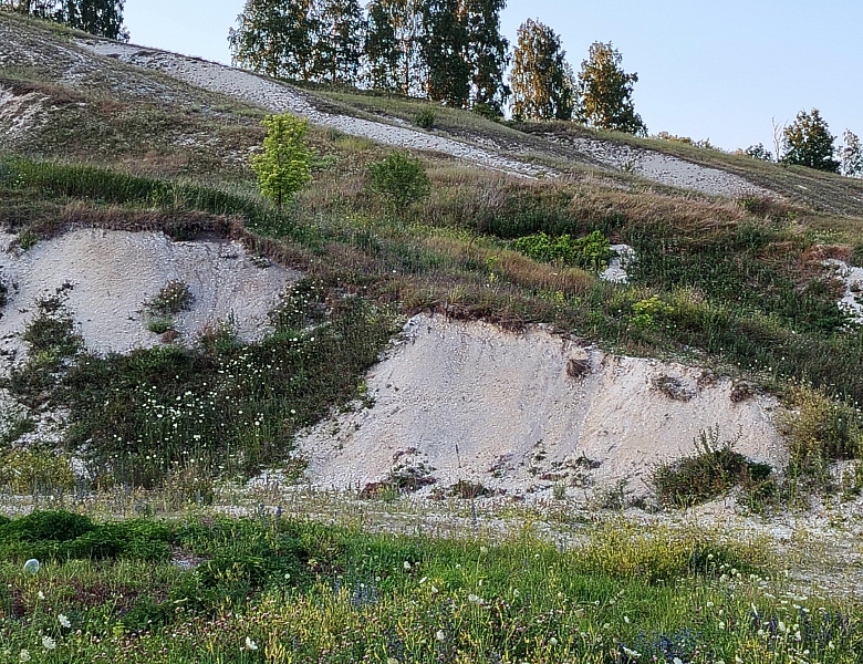 Природа Родного края...