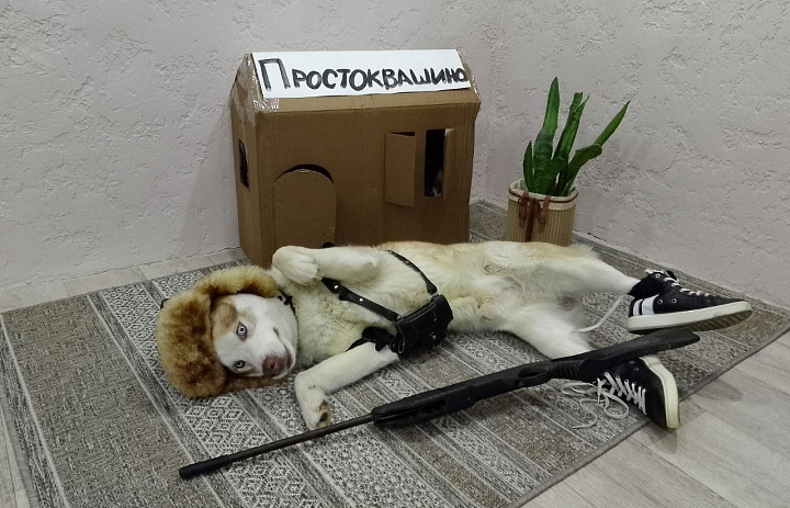 Всероссийский конкурс семейных фотографий «Питомцы герои картин, книг, фильмов» 