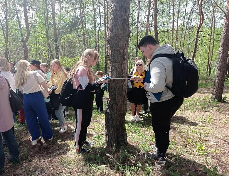  Методический практикум «Лесопатологическая таксация и учет стволовых вредителей»