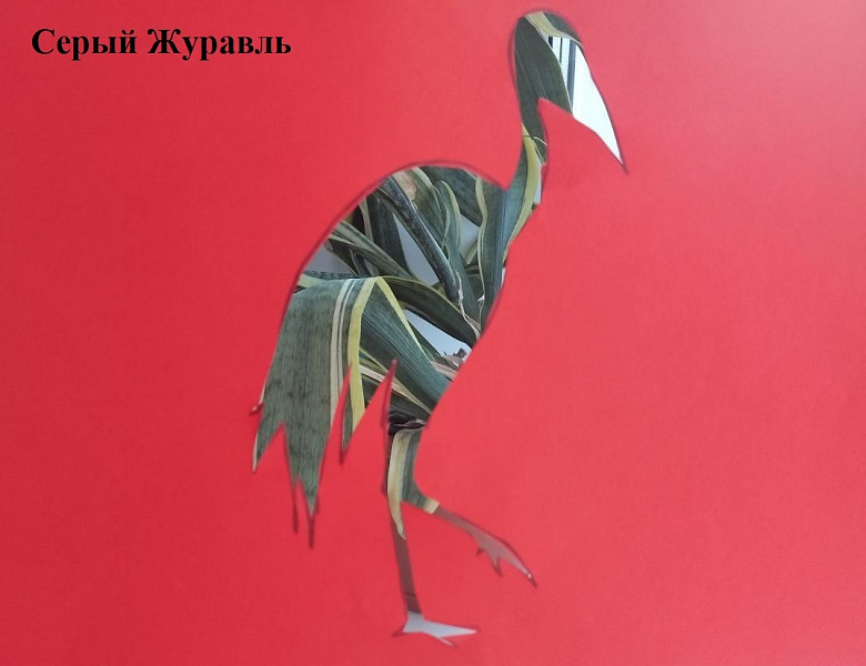 Юные натуралисты продолжают знакомиться с Красной книгой