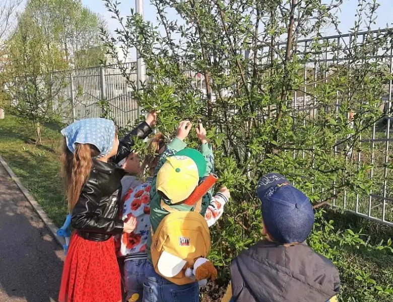 Природа родного края