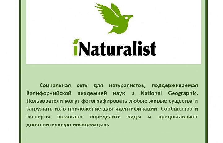 Юные натуралисты, педагоги и родители - Вам это точно понравится!!!