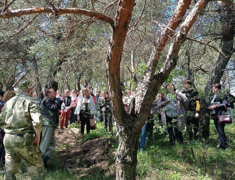  Методический практикум «Лесопатологическая таксация и учет стволовых вредителей»